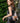6d24069b-c0b5-4360-aa0d-25a84bc75d56-Max