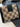 Printed Vegan Leather Wallet | Lily Bloom